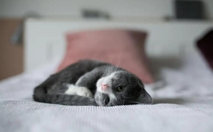 夜深了，心沉了